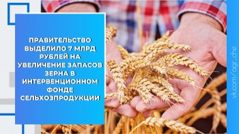 Правительство выделило 7 млрд рублей на увеличение запасов зерна в интервенционном фонде сельхозпродукции