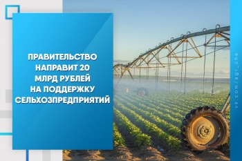 Правительство направит 20 млрд рублей на поддержку сельхозпредприятий