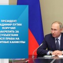 Президент Владимир Путин поручил закрепить за субъектами МСП права на кредитные каникулы