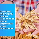 Правительство выделило 7 млрд рублей на увеличение запасов зерна в интервенционном фонде сельхозпродукции