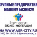  В помощь предпринимателям информационный ресурс в Череповце 