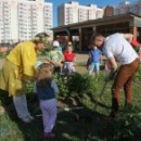 В Череповце женщина-предприниматель к празднику подарила детским садам 300 саженцев кедровой сосны