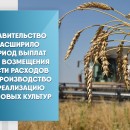Правительство расширило период выплат для возмещения части расходов на производство и реализацию зерновых культур